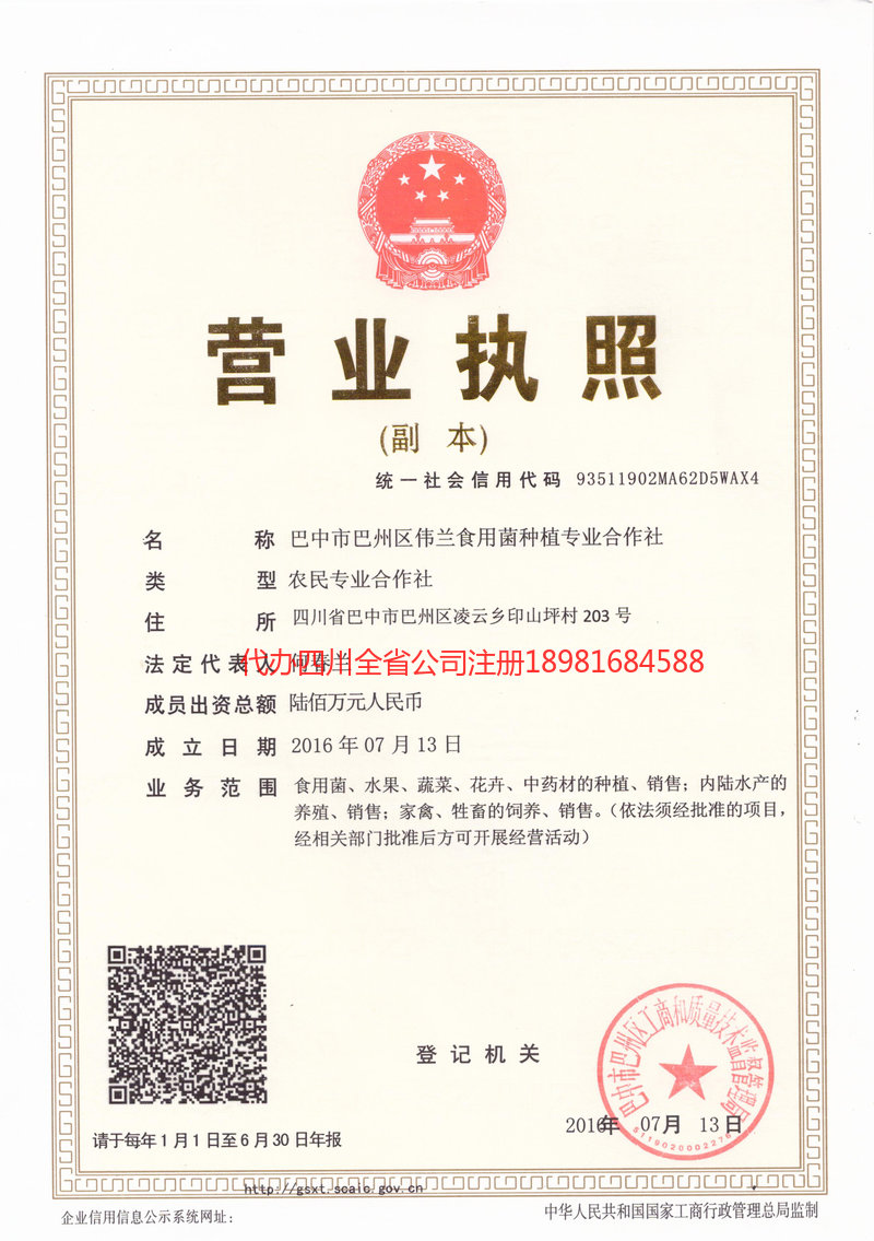 肥城肥城伟兰食用菌种植专业合作社